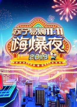 2019湖南卫视苏宁易购11.11嗨爆夜海报