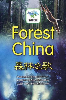 森林之歌海报