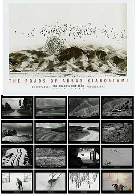 阿巴斯·基亚罗斯塔米的道路纪录片海报