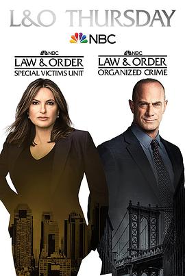 法律与秩序：特殊受害者 第二十四季海报